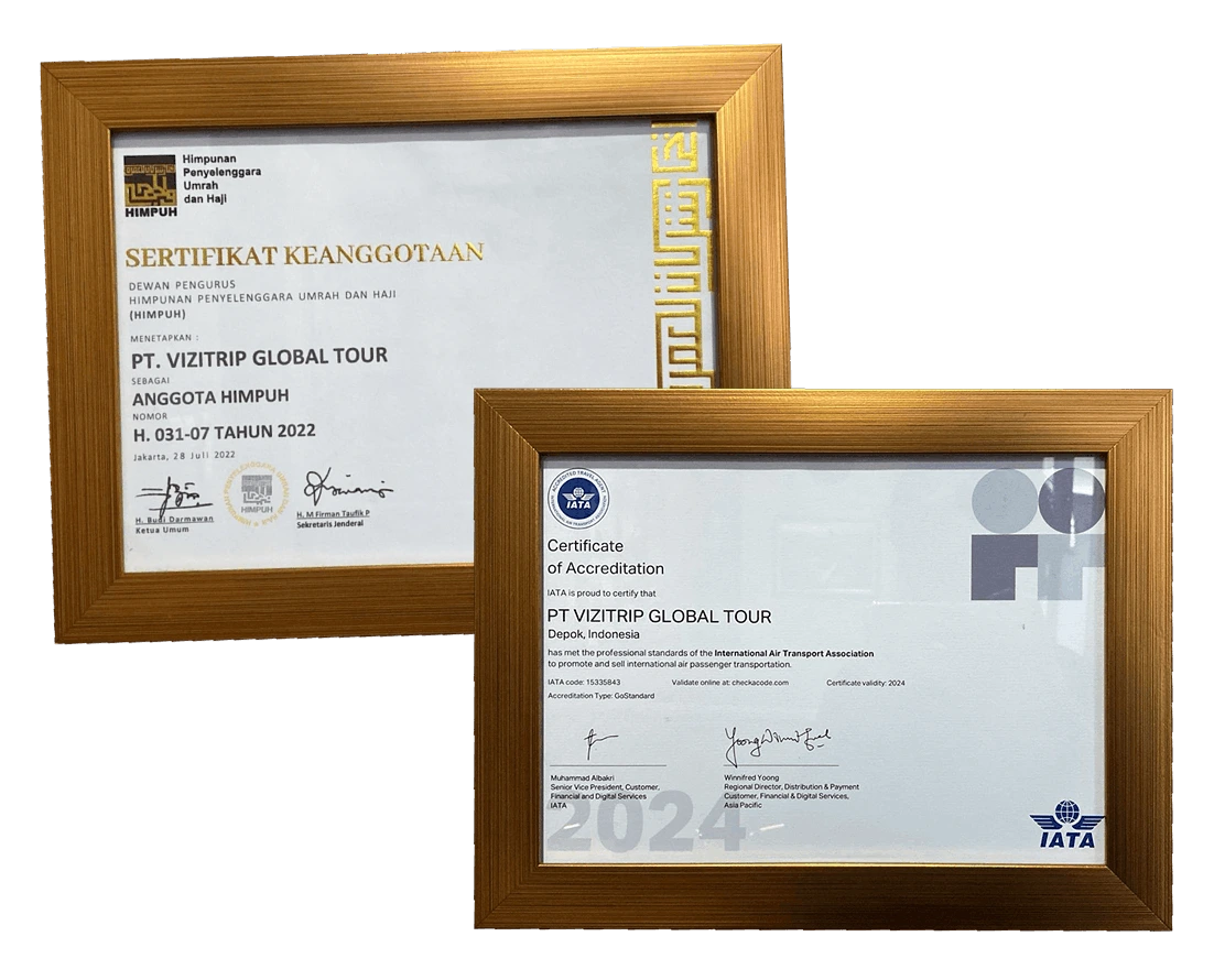 Vizitrip Certificate 2